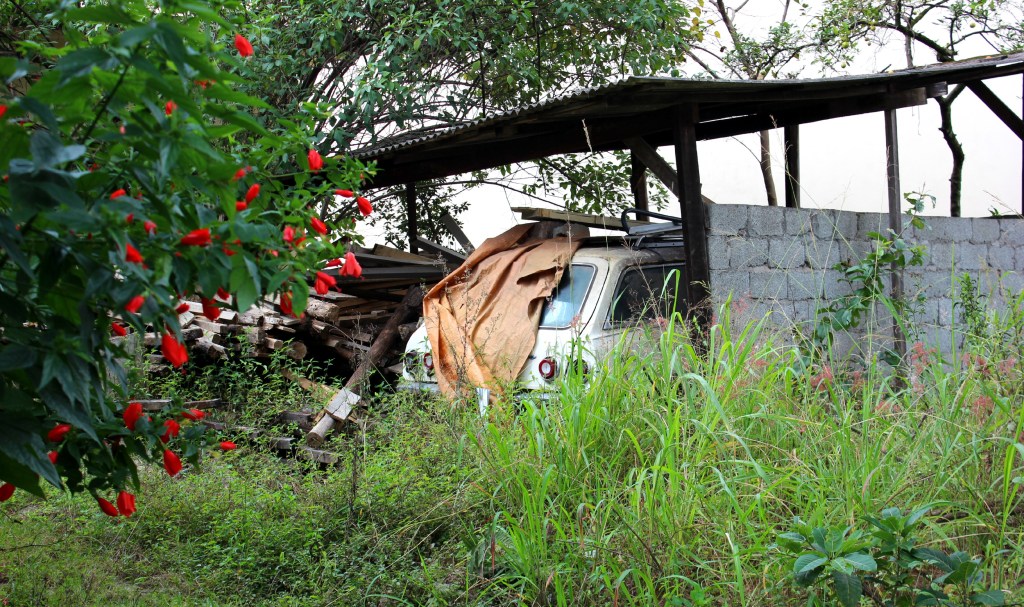 VW São Paulo BRAZIL