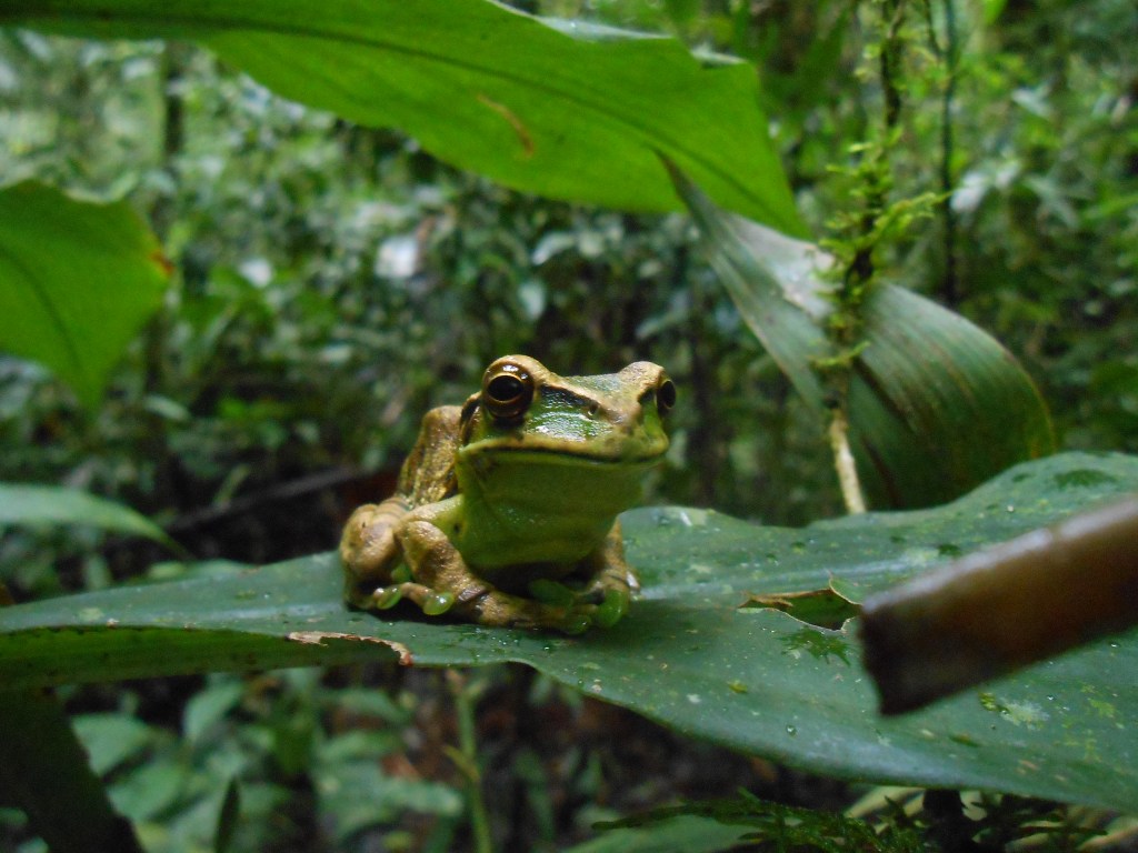 Photo by Gustavo S. Requena | Ribeirão Grande, Sao Paulo